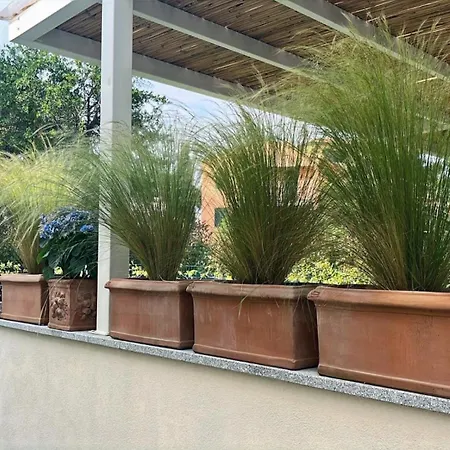 Lavalehouse Marina di Campo