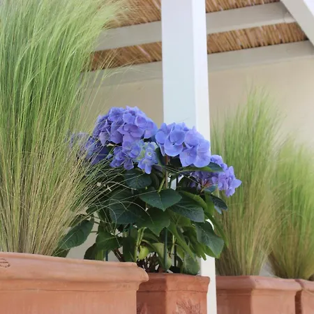 Lavalehouse Marina di Campo