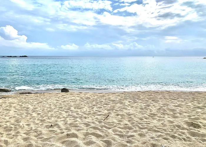 度假居 Lavalehouse 坎普码港