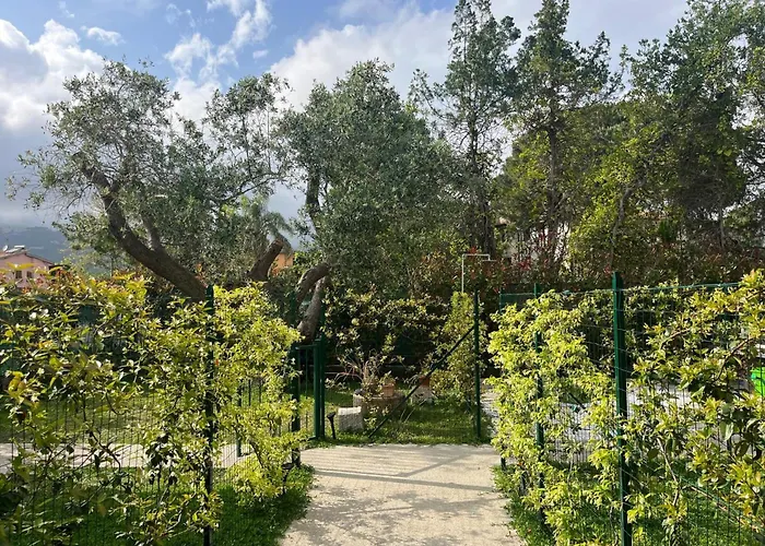 Lavalehouse 坎普码港