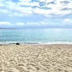Ferienhaus Lavalehouse Marina di Campo