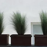 Lavalehouse Ferienhaus Marina di Campo