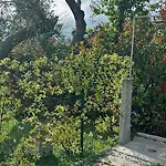 Lavalehouse Hébergement de vacances *