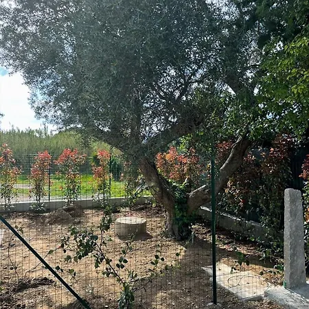 Holiday home Lavalehouse Marina di Campo