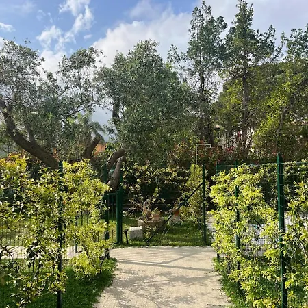 Lavalehouse Marina di Campo