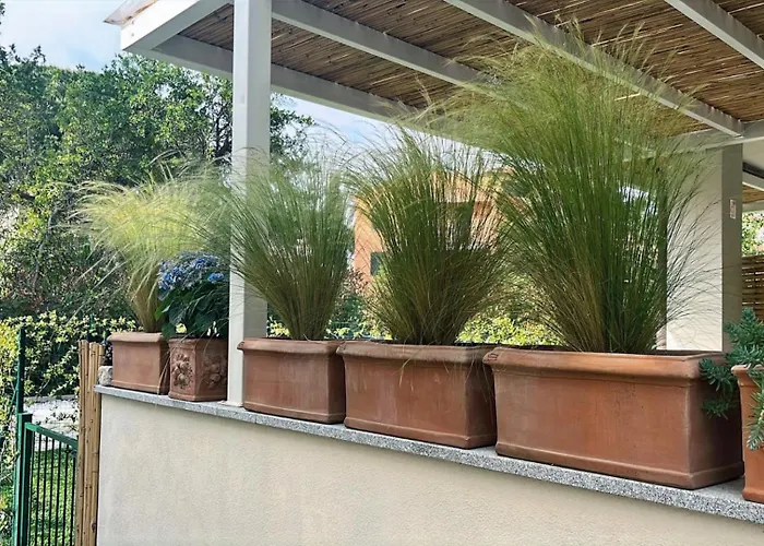 Lavalehouse Marina di Campo