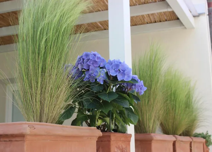 Lavalehouse Marina di Campo