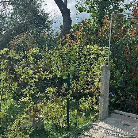 Lavalehouse 度假居 *